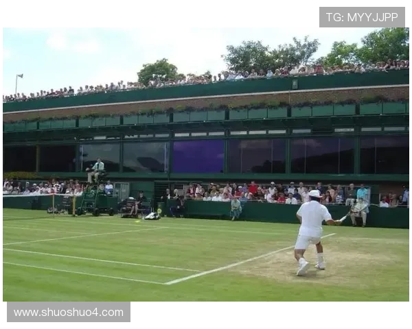 网球场地种类丰富 除了红土还有硬地 草地和室内场地的多样性探讨